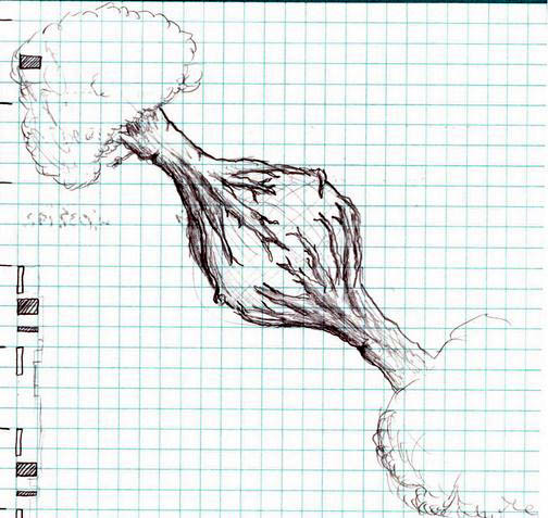 Petit Trees (sketch)